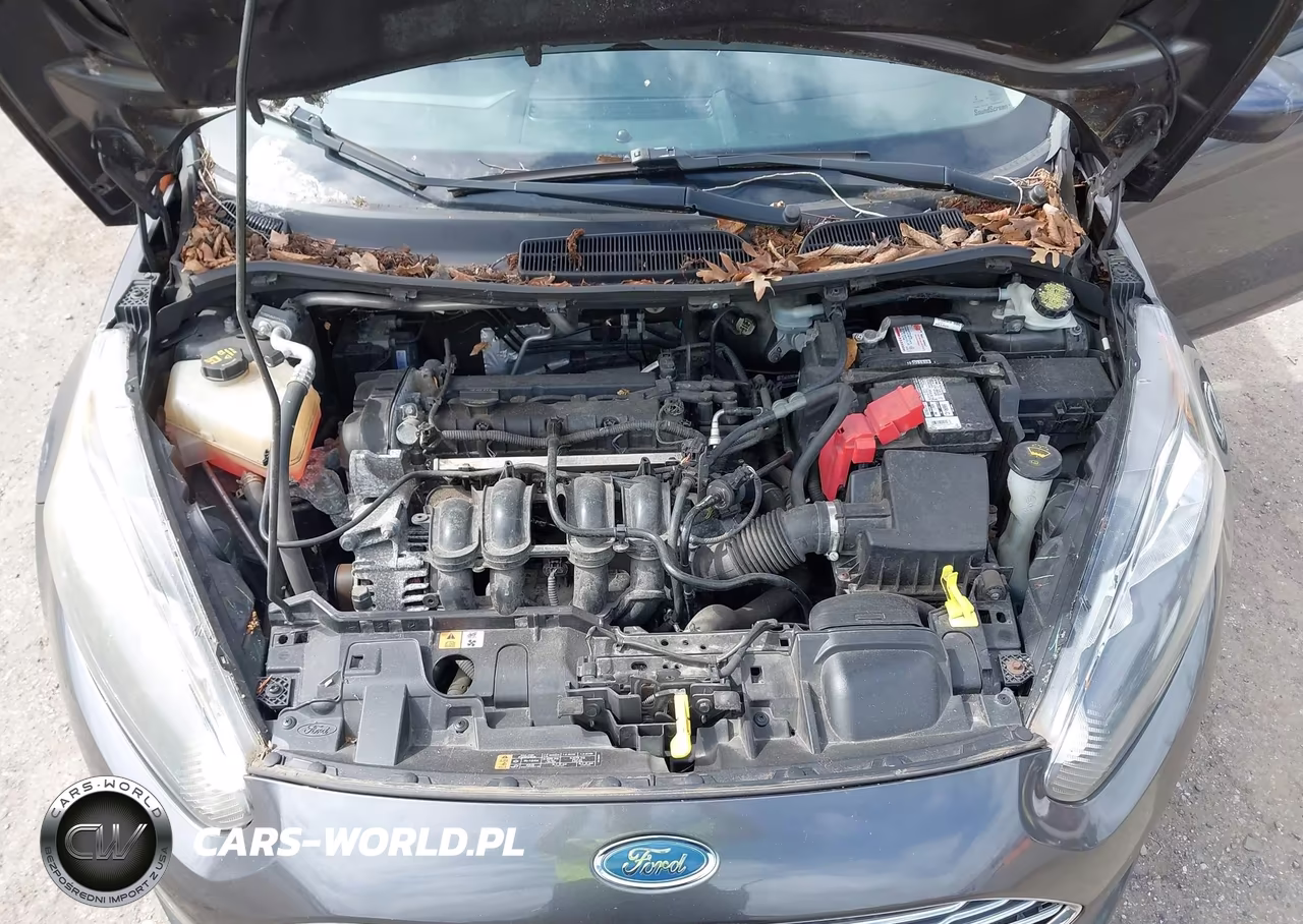 2017 Ford Fiesta Se VIN:3FADP4BJ4HM119081 - 10