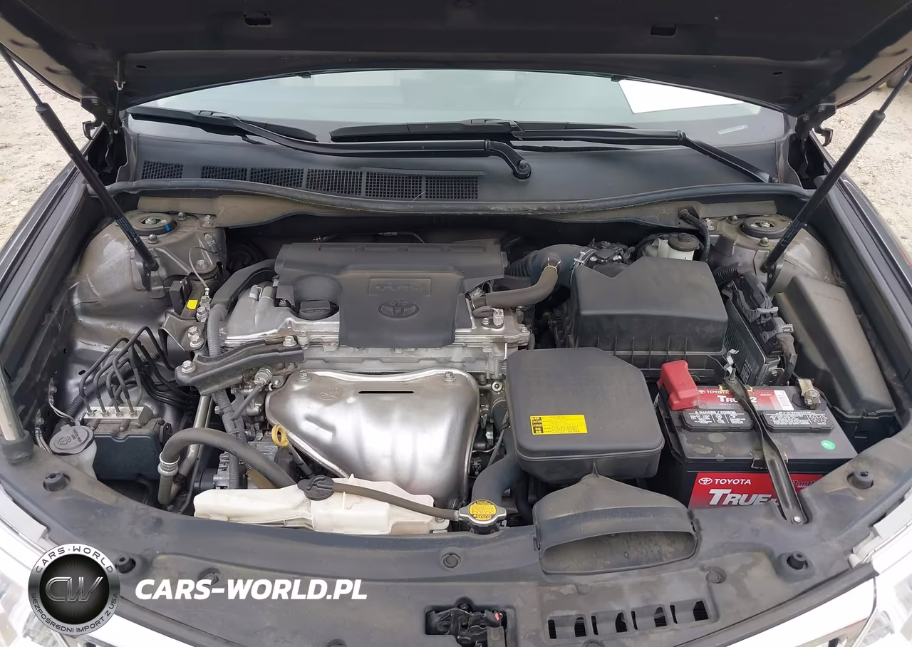 2014 Toyota Camry Xle VIN:4T1BF1FK1EU792631 - 10