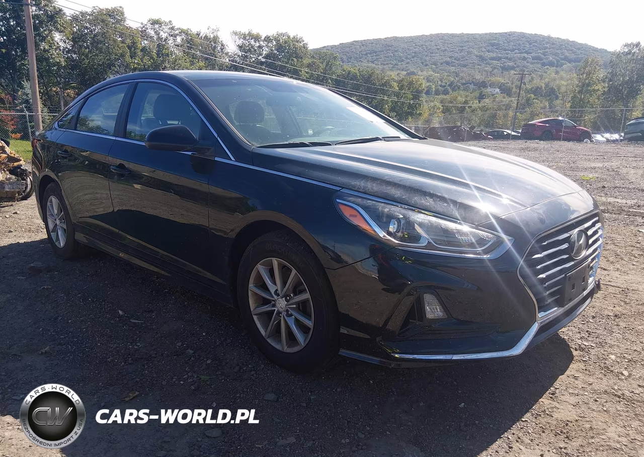 2019 Hyundai Sonata Se VIN:5NPE24AF5KH786135 - 1