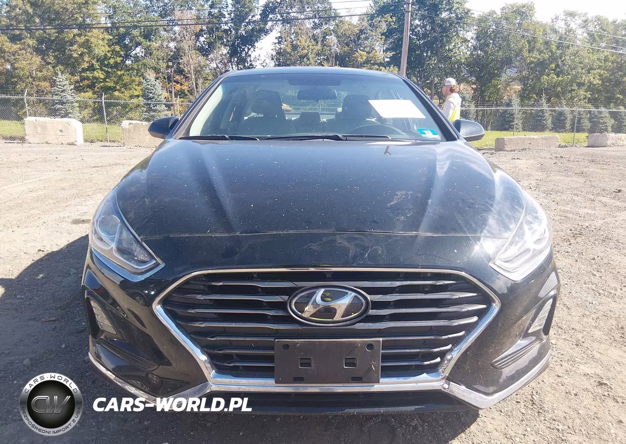 2019 Hyundai Sonata Se VIN:5NPE24AF5KH786135 - 12