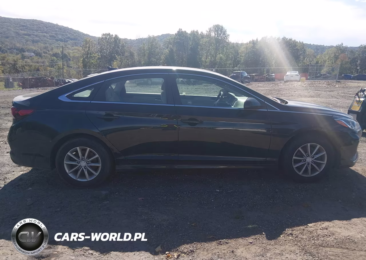 2019 Hyundai Sonata Se VIN:5NPE24AF5KH786135 - 13