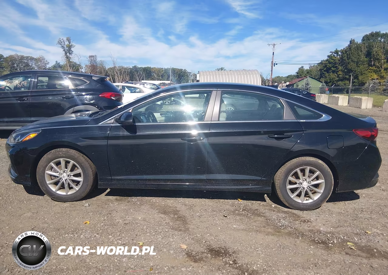 2019 Hyundai Sonata Se VIN:5NPE24AF5KH786135 - 14