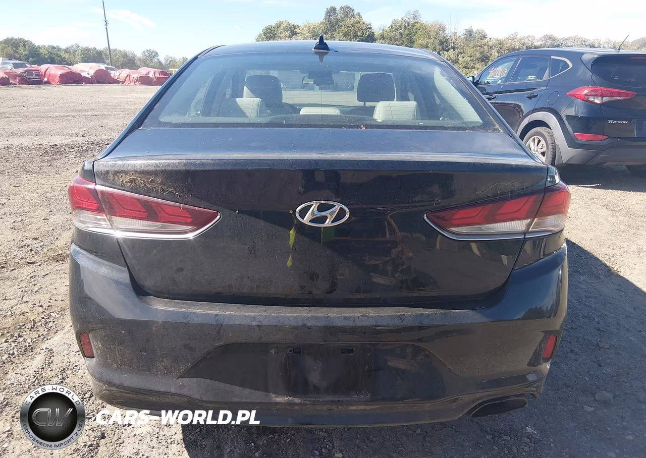 2019 Hyundai Sonata Se VIN:5NPE24AF5KH786135 - 16