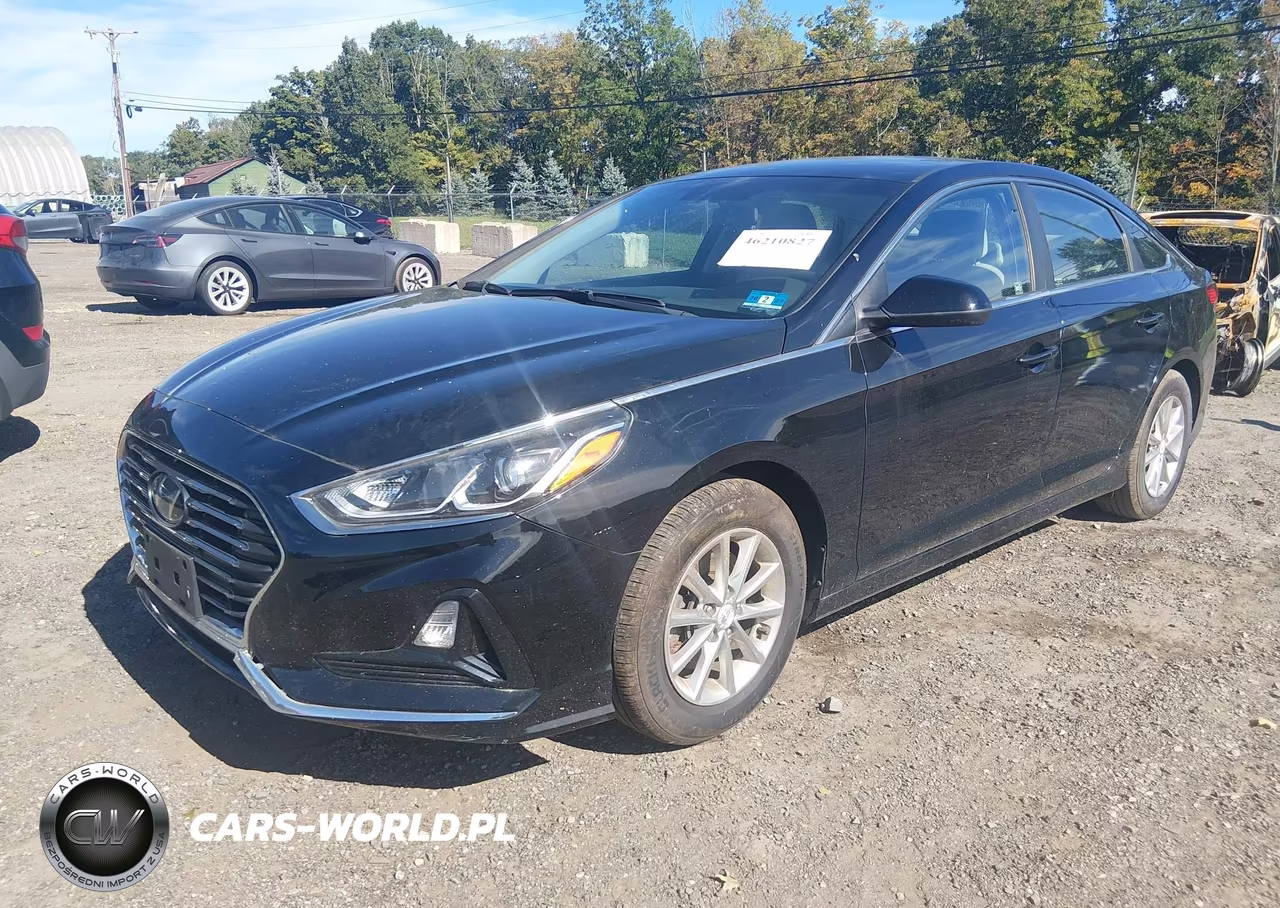 2019 Hyundai Sonata Se VIN:5NPE24AF5KH786135 - 2
