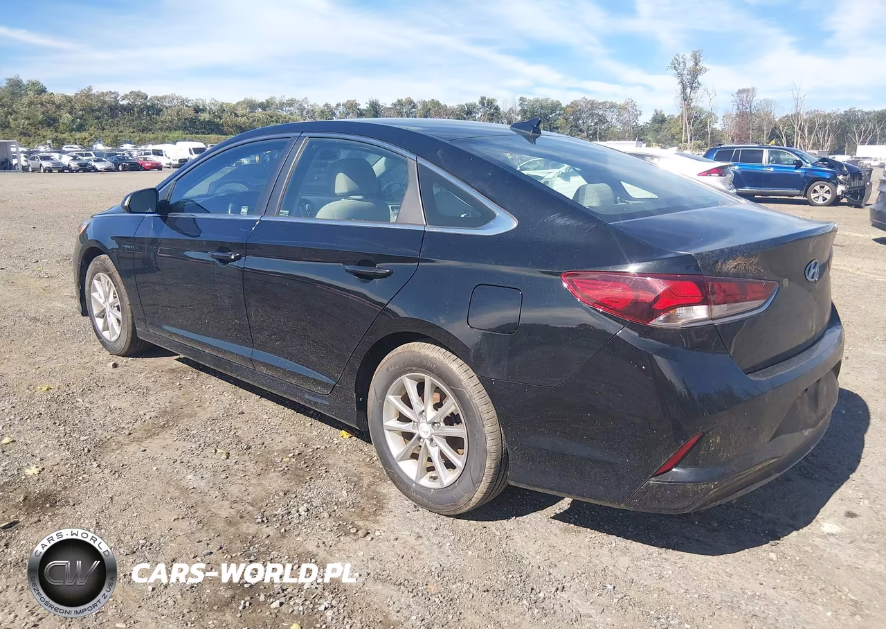 2019 Hyundai Sonata Se VIN:5NPE24AF5KH786135 - 3