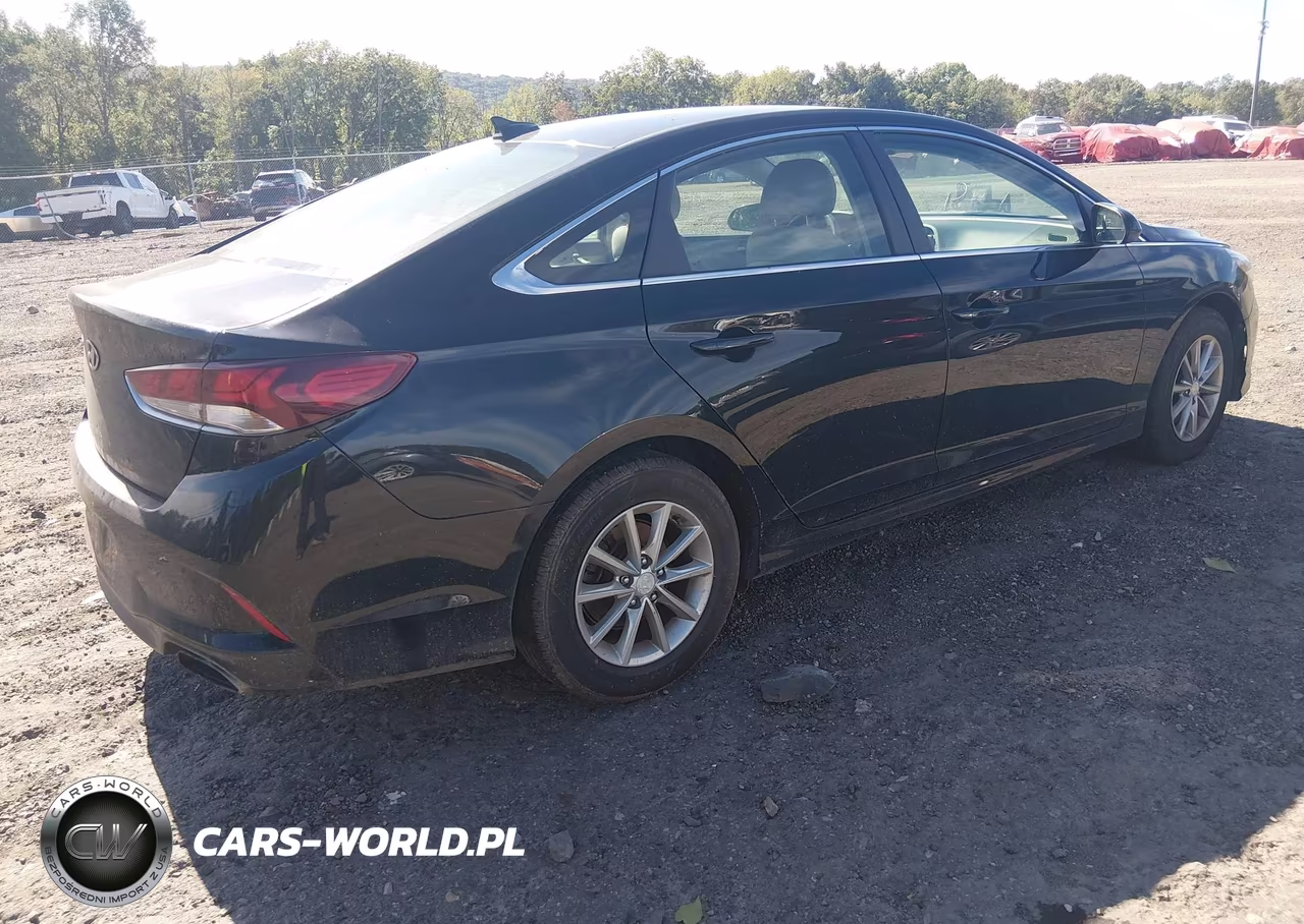 2019 Hyundai Sonata Se VIN:5NPE24AF5KH786135 - 4