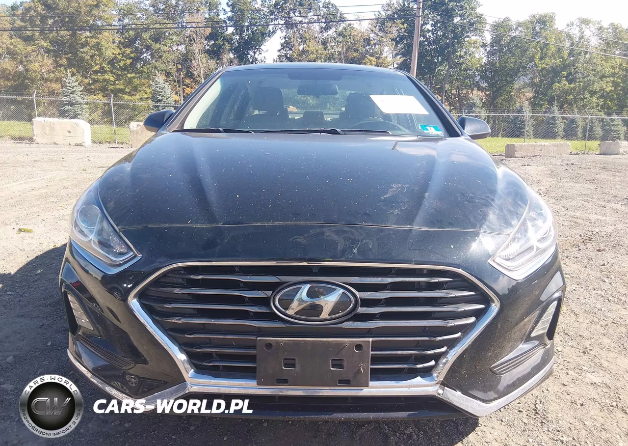 2019 Hyundai Sonata Se VIN:5NPE24AF5KH786135 - 6