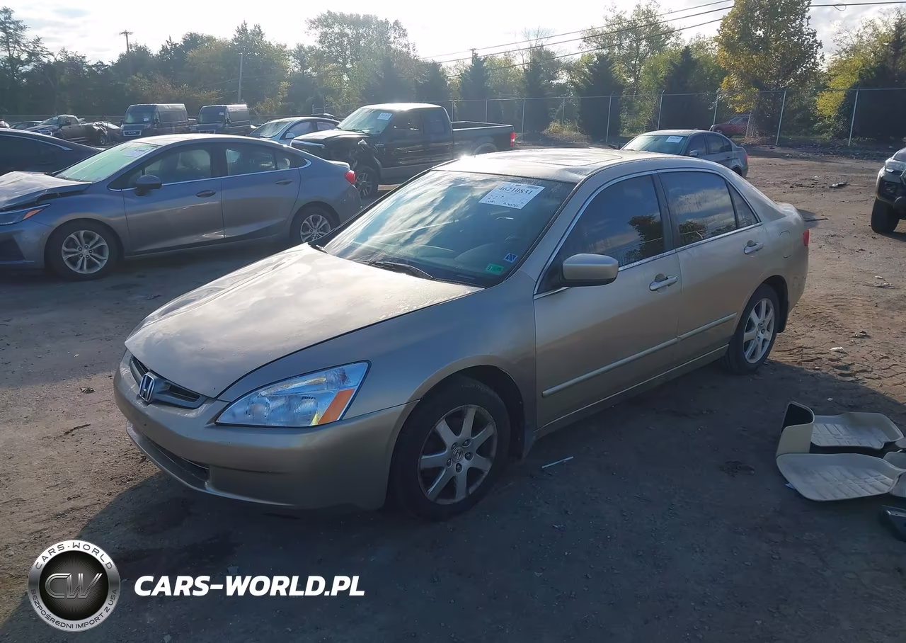 2005 Honda Accord 3.0 Ex VIN:1HGCM66535A041491 - 2