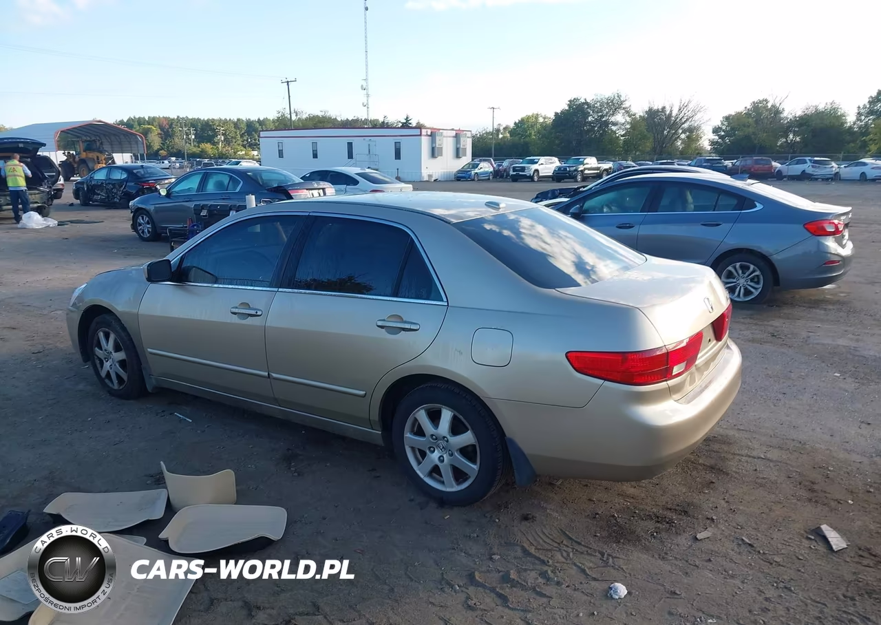 2005 Honda Accord 3.0 Ex VIN:1HGCM66535A041491 - 3