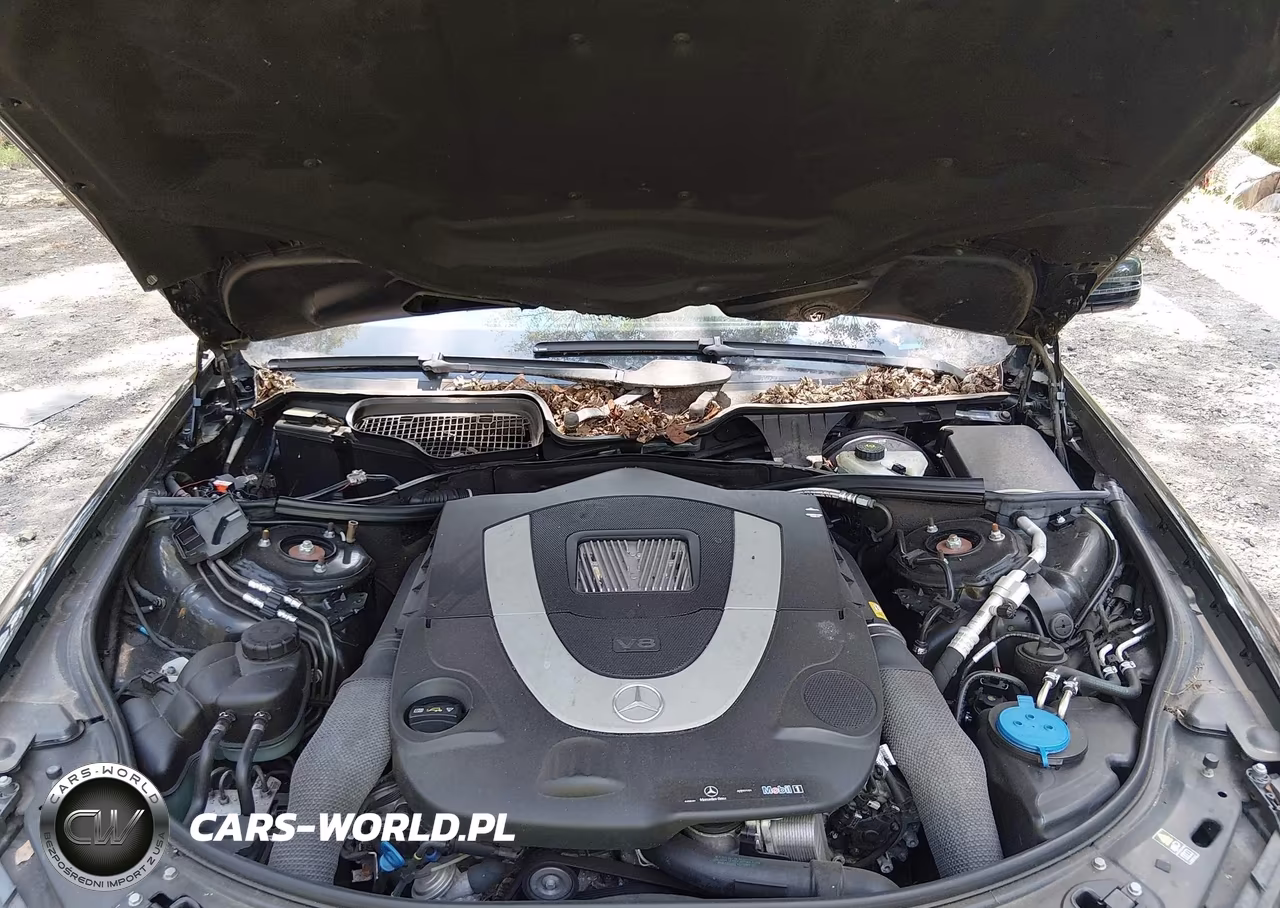 2011 Mercedes-Benz S 550 VIN:WDDNG7BB3BA382326 - 10
