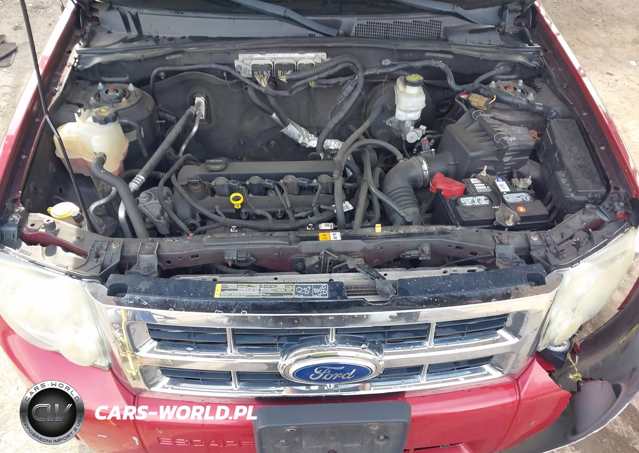 2011 Ford Escape Xlt VIN:1FMCU0D75BKB75002 - 10