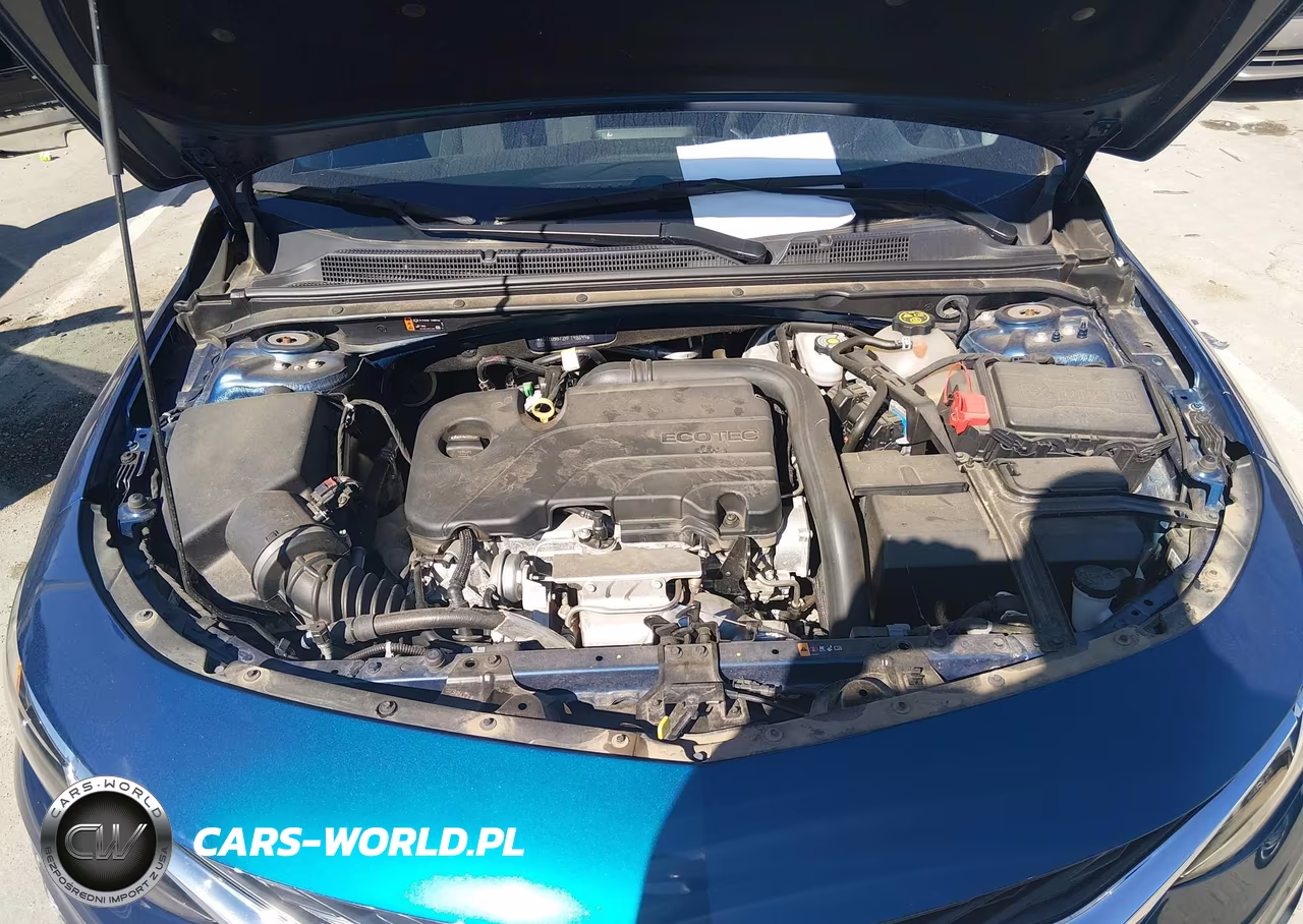 2019 Chevrolet Malibu Lt VIN:1G1ZD5ST2KF198699 - 10