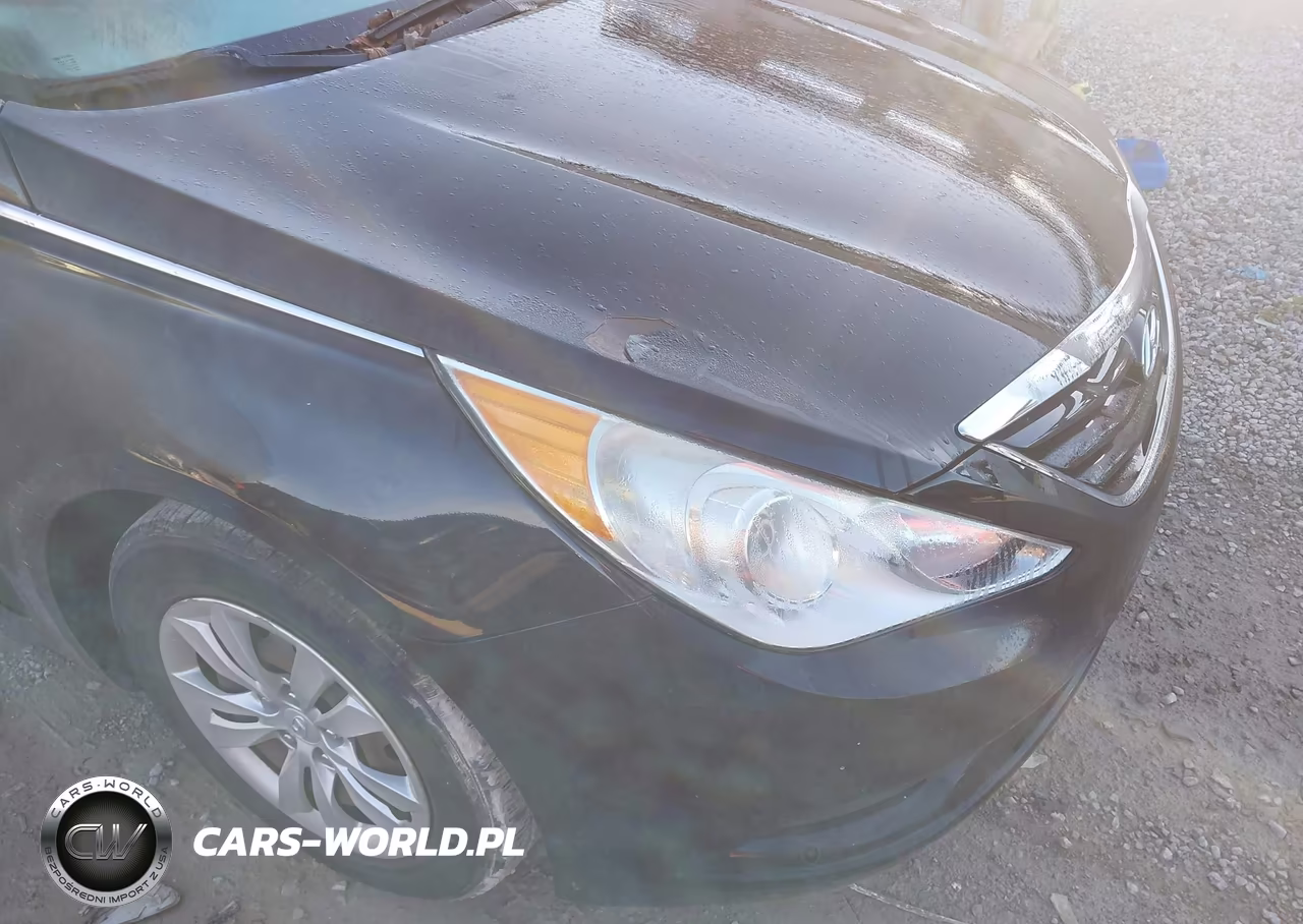 2011 Hyundai Sonata Gls VIN:5NPEB4AC7BH024754 - 6