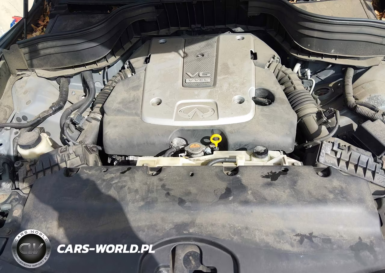 2016 Infiniti Qx50 VIN:JN1BJ0RR3GM265301 - 10