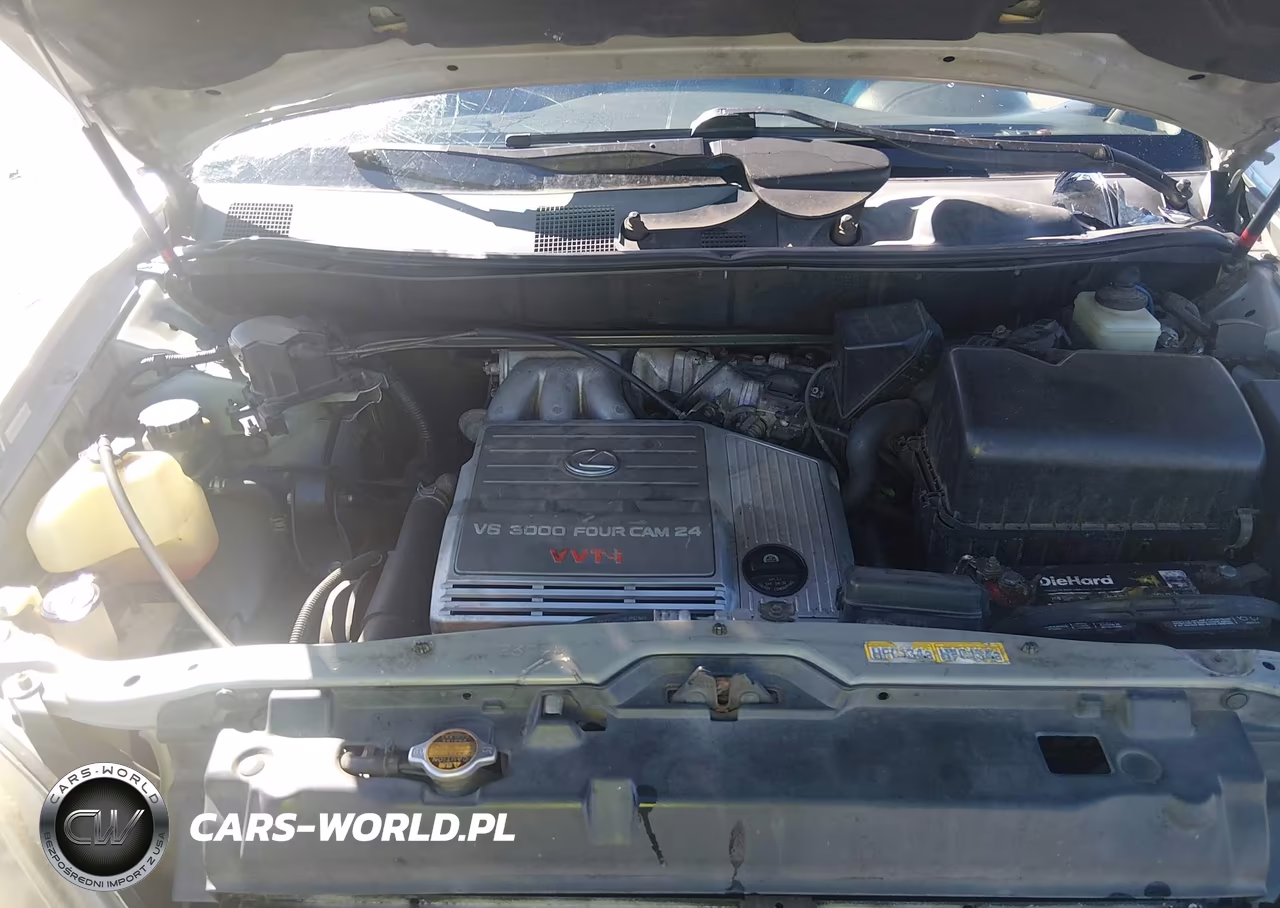 1999 Lexus Rx 300 VIN:JT6GF10U8X0025848 - 10