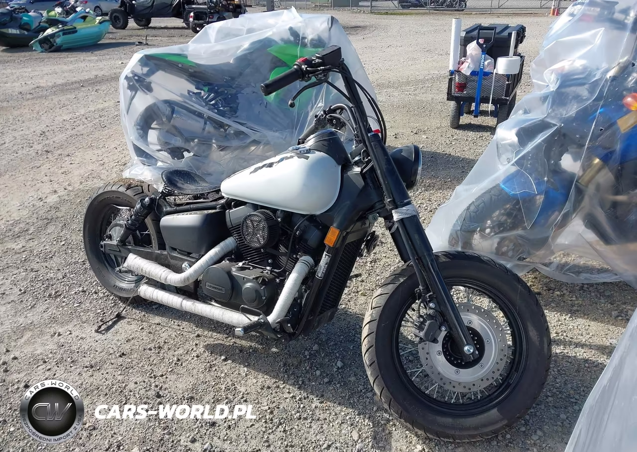 2019 Honda Vt750 C2B