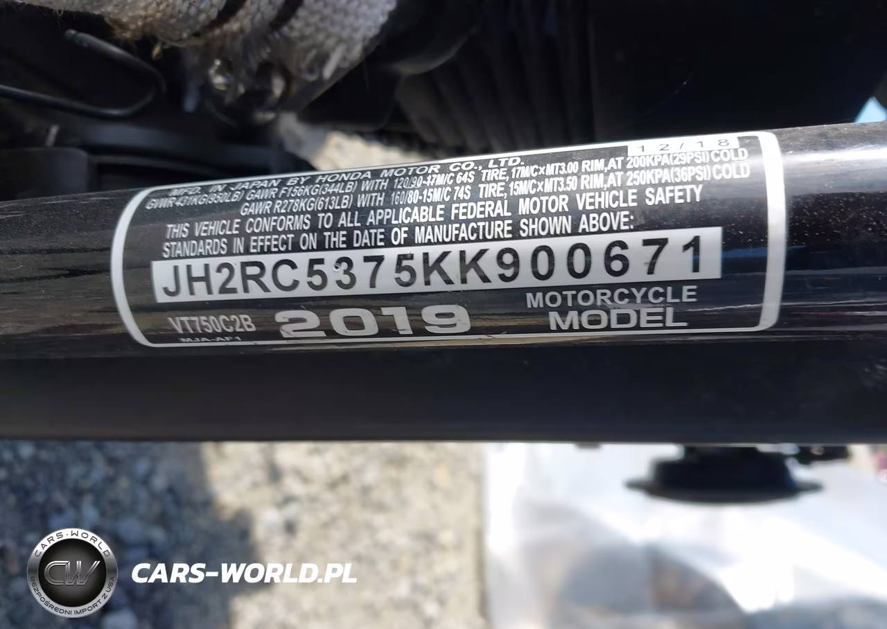 2019 Honda Vt750 C2B VIN:JH2RC5375KK900671 - 10