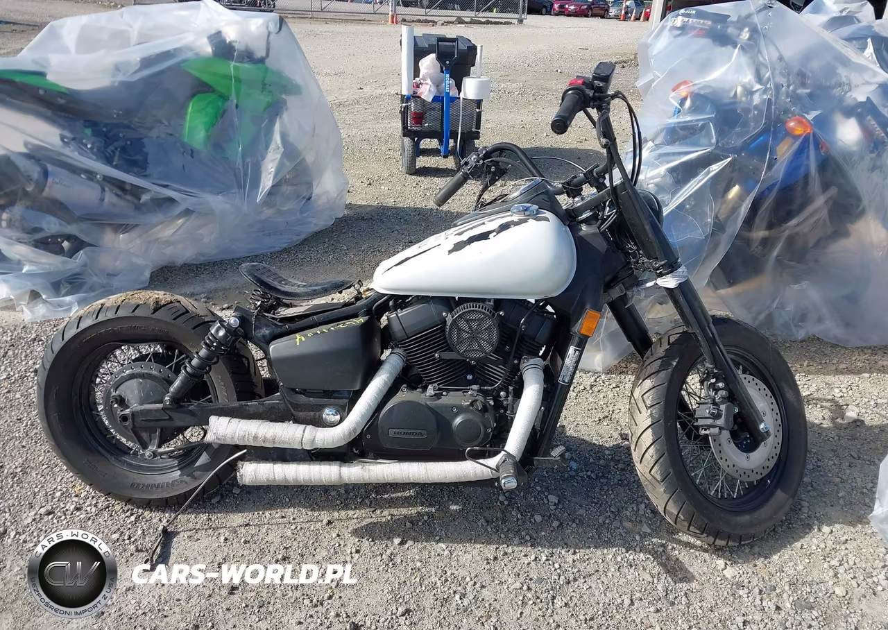 2019 Honda Vt750 C2B VIN:JH2RC5375KK900671 - 12