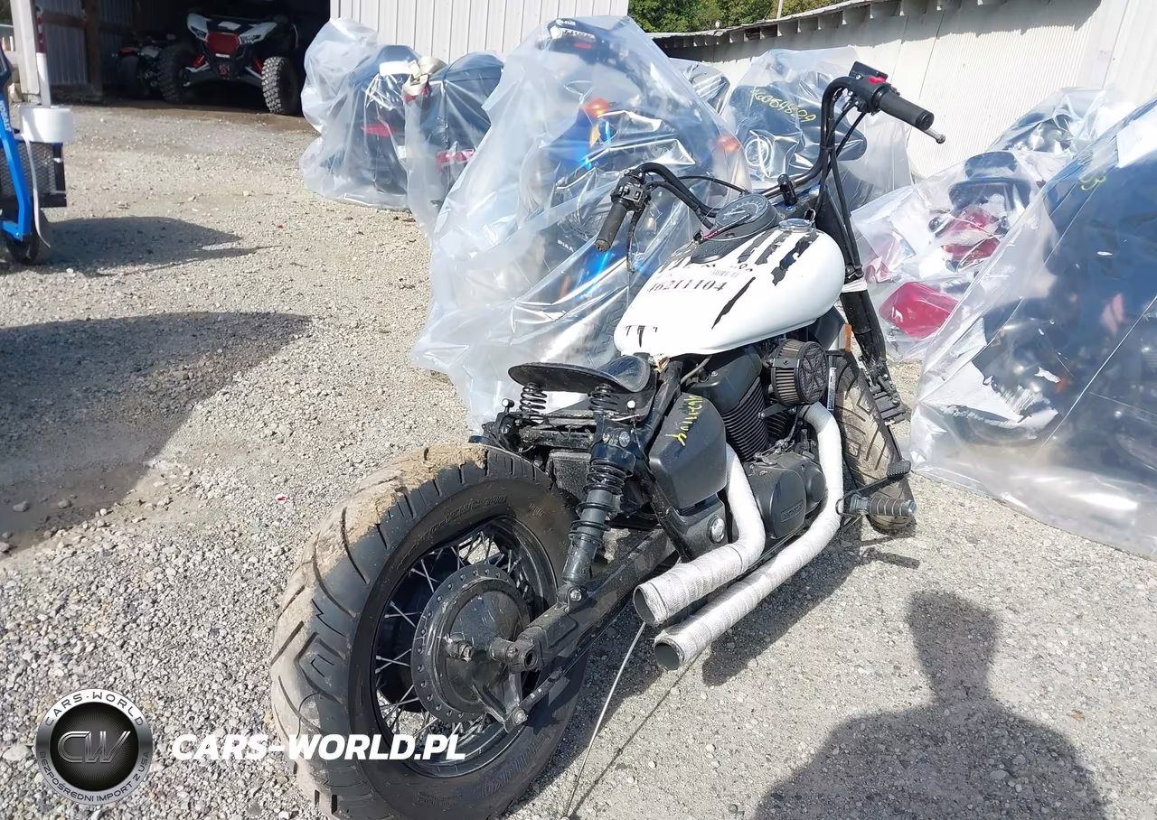 2019 Honda Vt750 C2B VIN:JH2RC5375KK900671 - 4