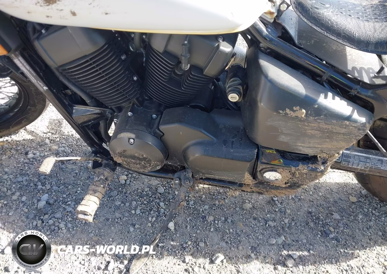2019 Honda Vt750 C2B VIN:JH2RC5375KK900671 - 9