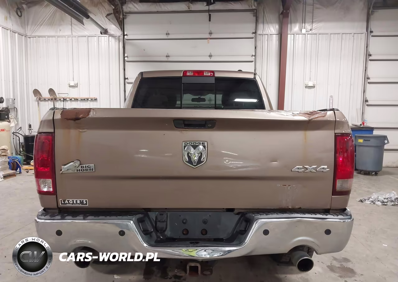 2009 Dodge Ram 1500 Slt-Sport-Trx VIN:1D3HV13T59S770025 - 17