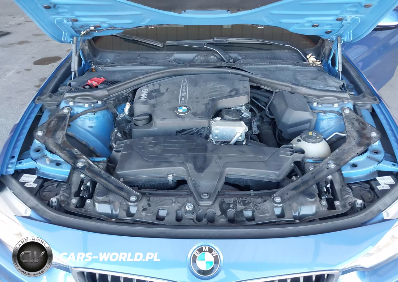 2015 BMW 428I VIN:WBA3V5C51F5A79189 - 10