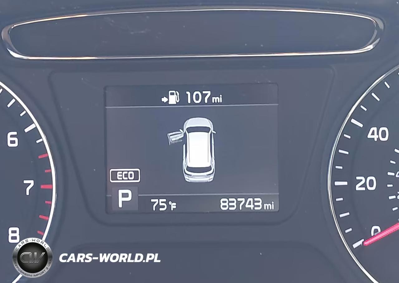 2019 Kia Sorento 3.3L Lx VIN:5XYPG4A55KG499371 - 16