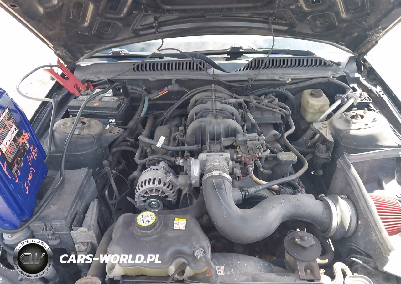 2006 Ford Mustang V6 VIN:1ZVHT84N565256268 - 10