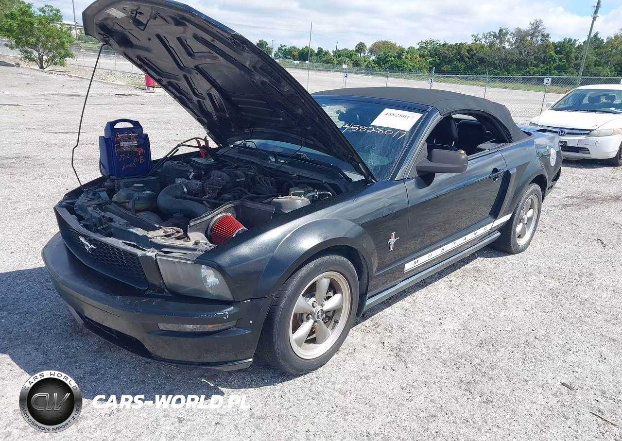 2006 Ford Mustang V6 VIN:1ZVHT84N565256268 - 2