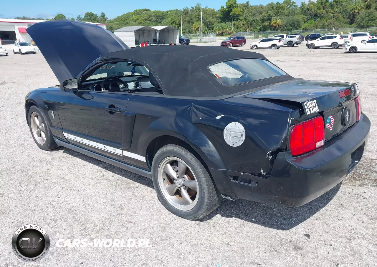 2006 Ford Mustang V6 VIN:1ZVHT84N565256268 - 3