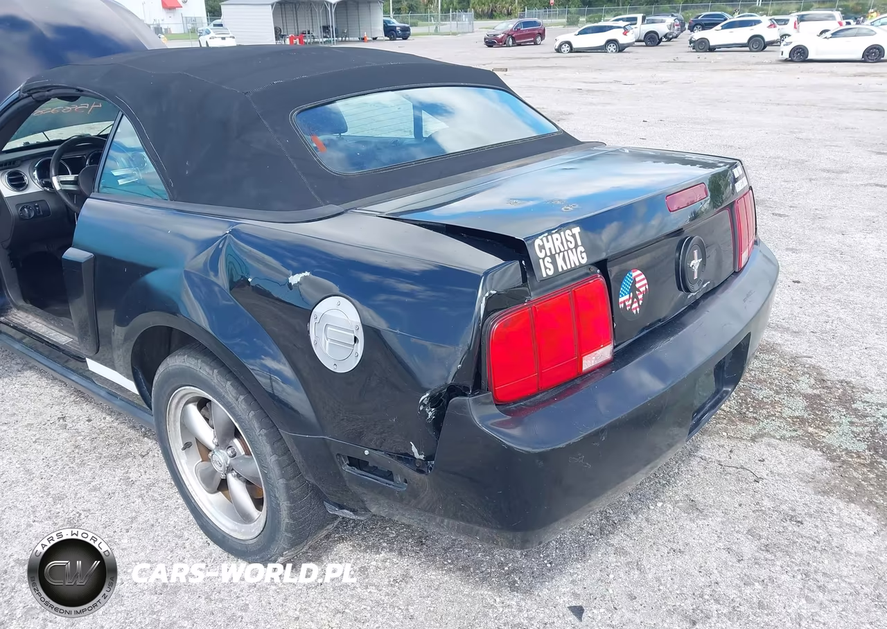 2006 Ford Mustang V6 VIN:1ZVHT84N565256268 - 6