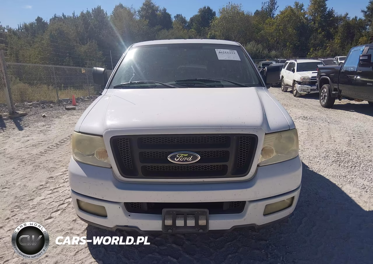 2004 Ford F150 VIN:1FTRF12W54NB75057 - 12