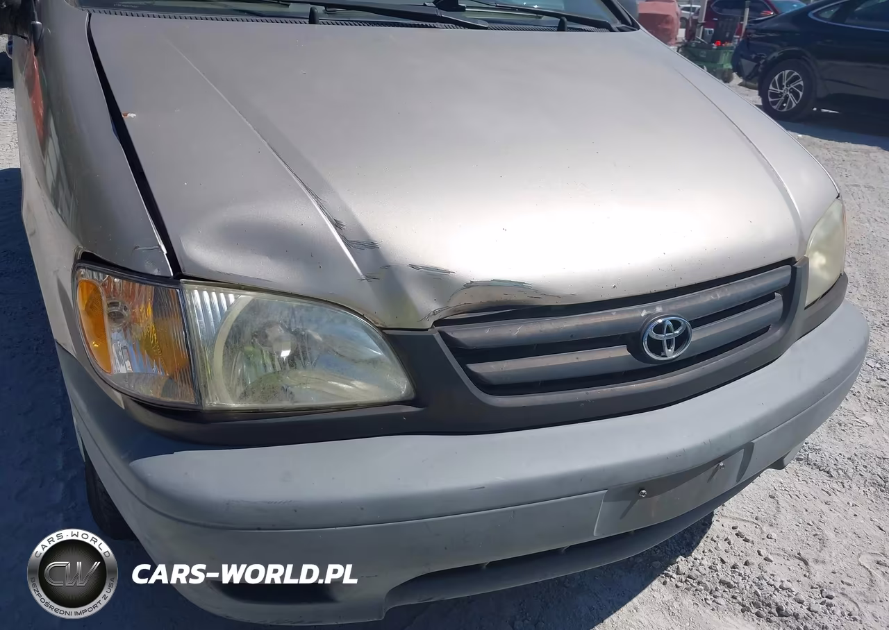 2003 Toyota Sienna Ce VIN:4T3ZF19C03U554065 - 12