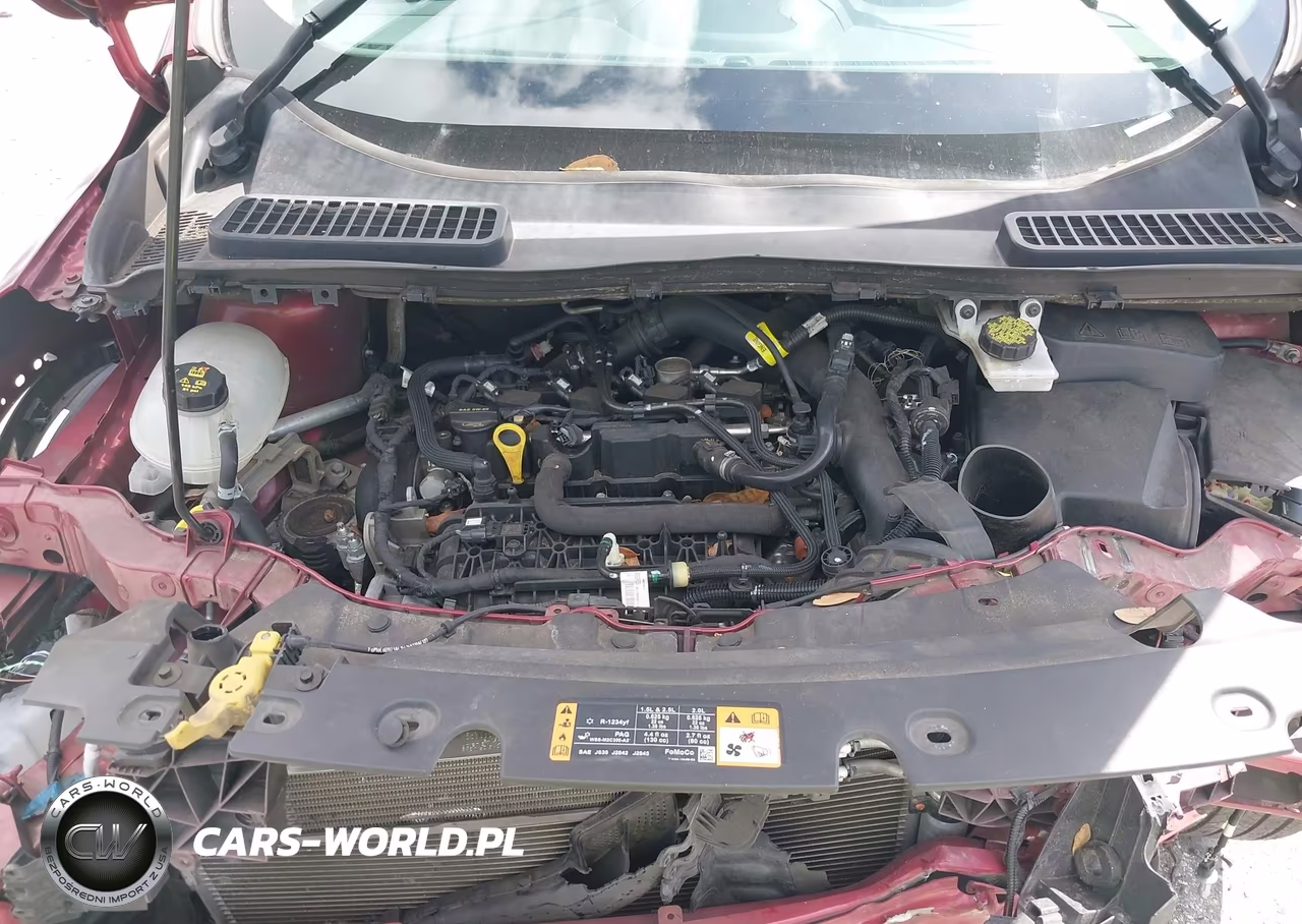 2019 Ford Escape Se VIN:1FMCU0GD2KUB95861 - 10