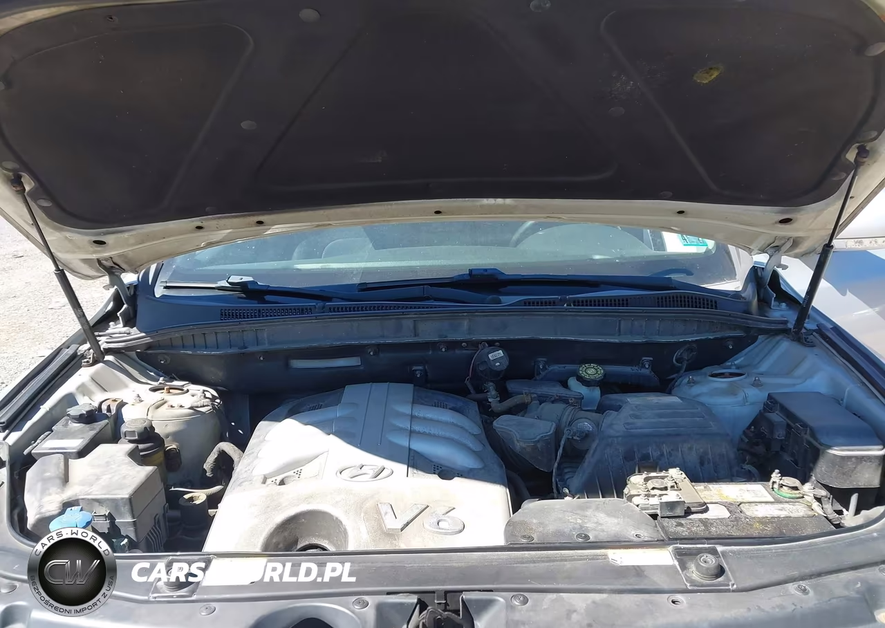 2007 Hyundai Veracruz Gls-Limited-Se VIN:KM8NU73C77U017238 - 10