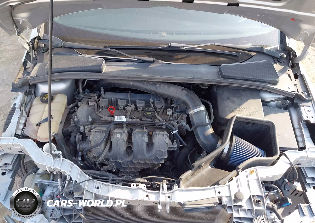 2014 Ford Focus St VIN:1FADP3L94EL127760 - 10