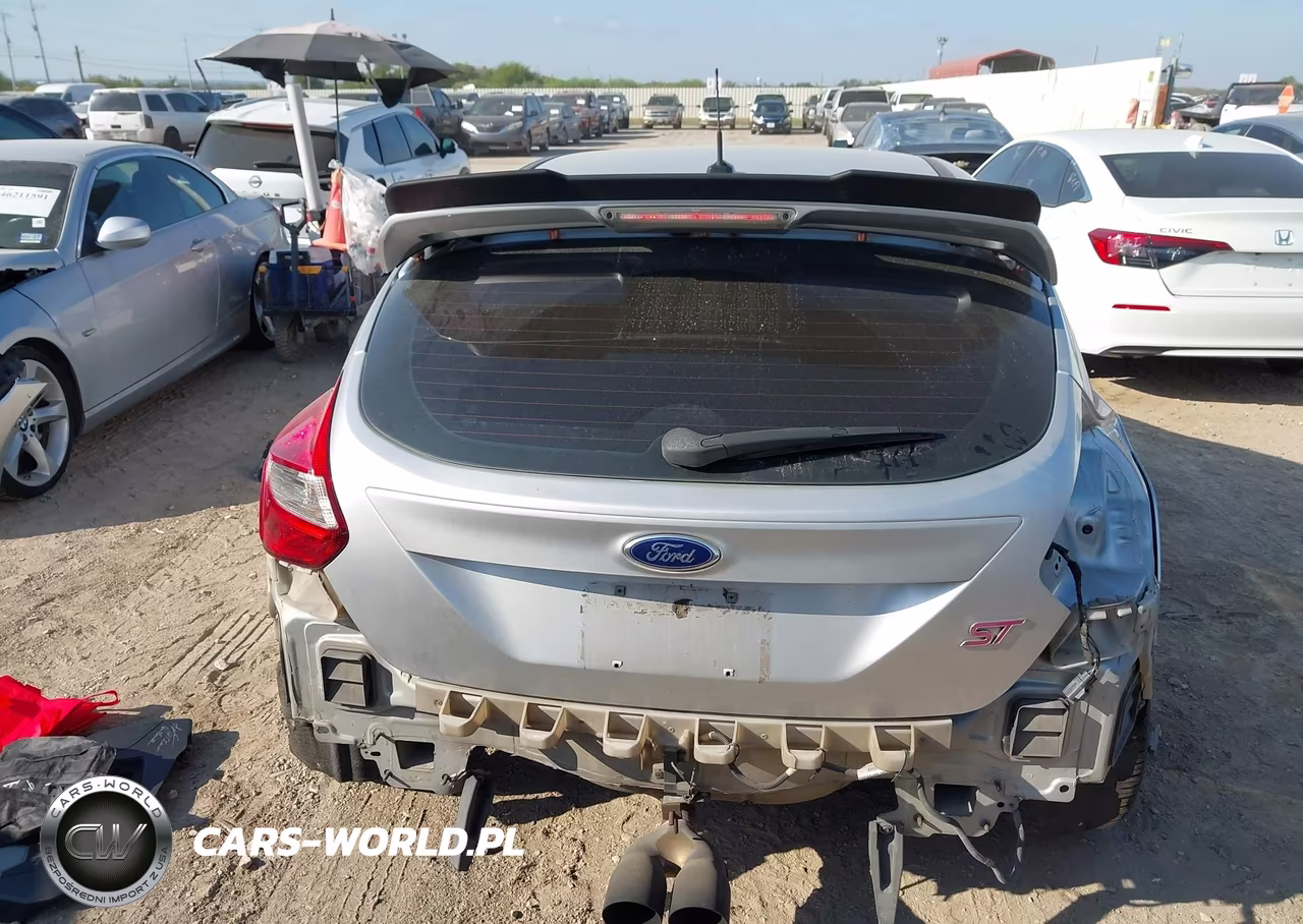 2014 Ford Focus St VIN:1FADP3L94EL127760 - 17