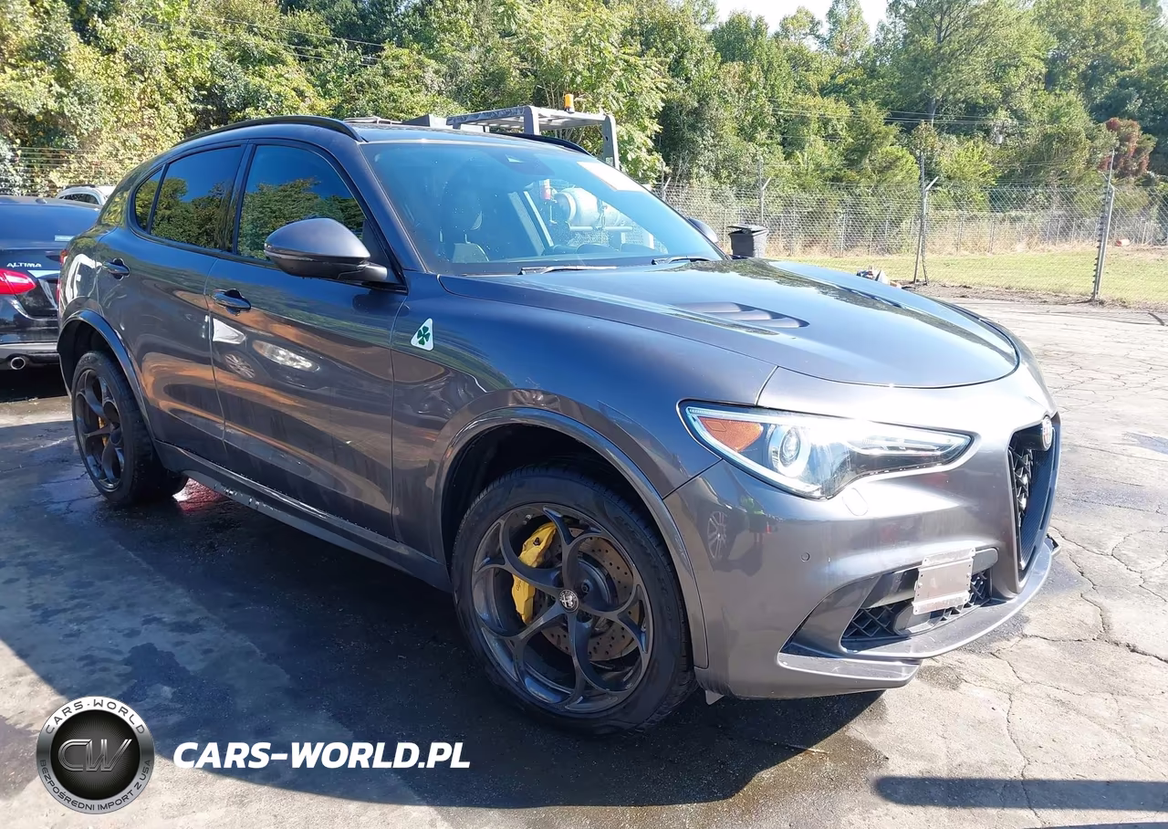 2019 Alfa Romeo Stelvio Quadrifoglio Awd