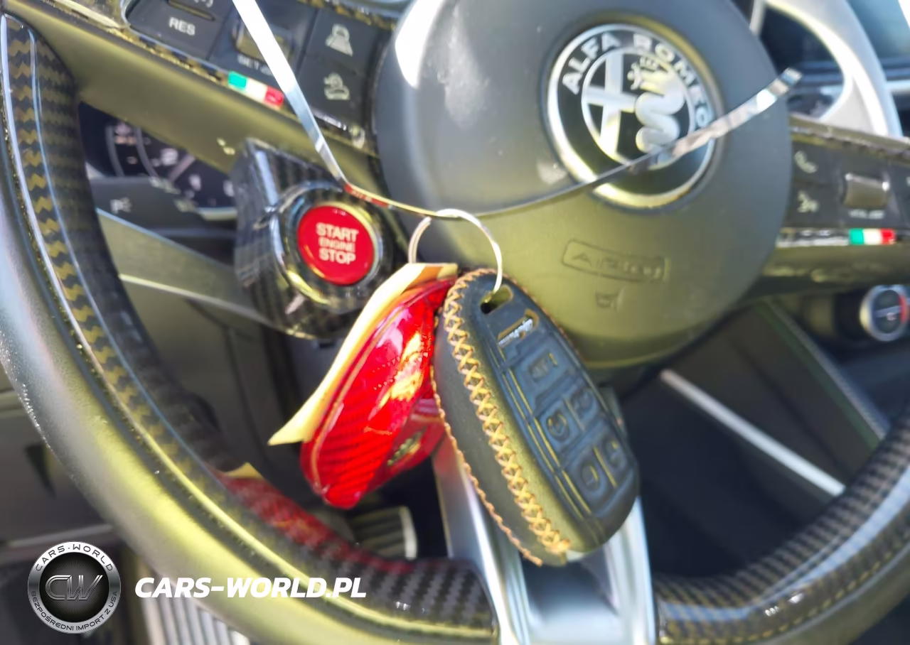 2019 Alfa Romeo Stelvio Quadrifoglio Awd VIN:ZASPAKEV7K7C32043 - 11