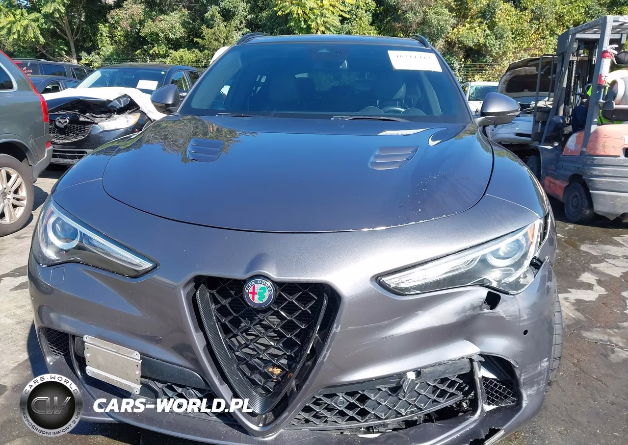 2019 Alfa Romeo Stelvio Quadrifoglio Awd VIN:ZASPAKEV7K7C32043 - 12