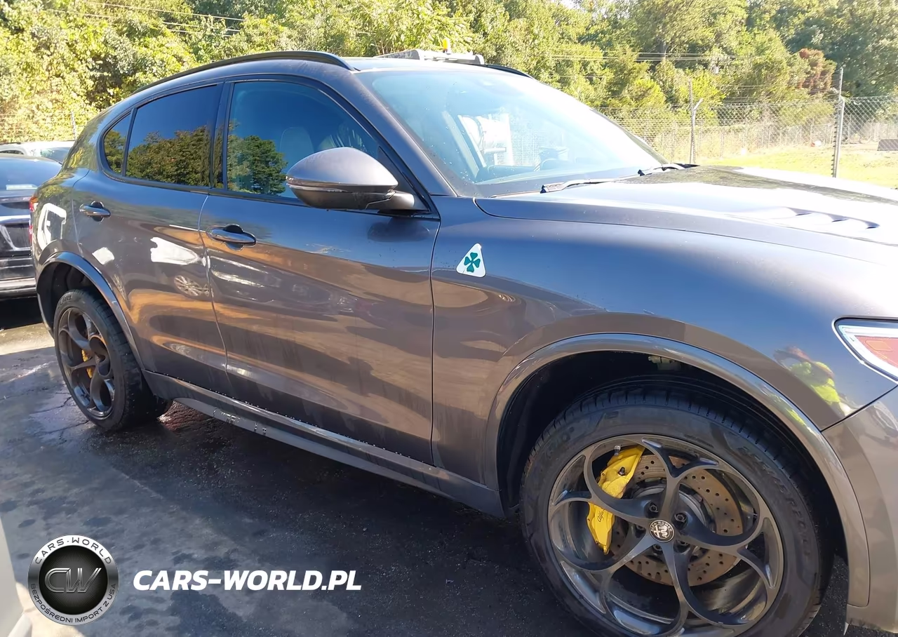 2019 Alfa Romeo Stelvio Quadrifoglio Awd VIN:ZASPAKEV7K7C32043 - 13