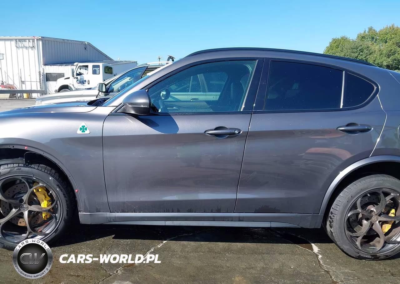 2019 Alfa Romeo Stelvio Quadrifoglio Awd VIN:ZASPAKEV7K7C32043 - 14