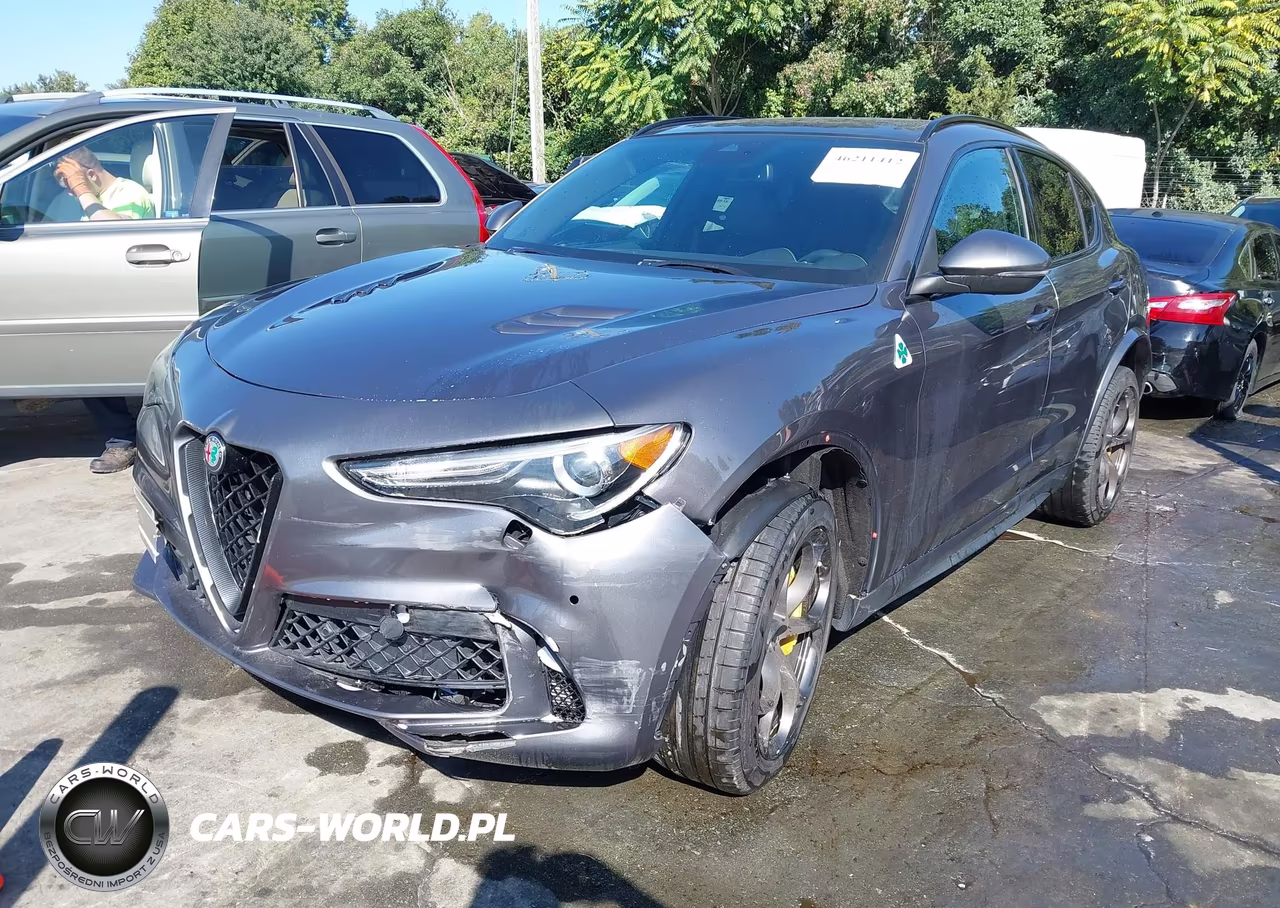 2019 Alfa Romeo Stelvio Quadrifoglio Awd VIN:ZASPAKEV7K7C32043 - 2