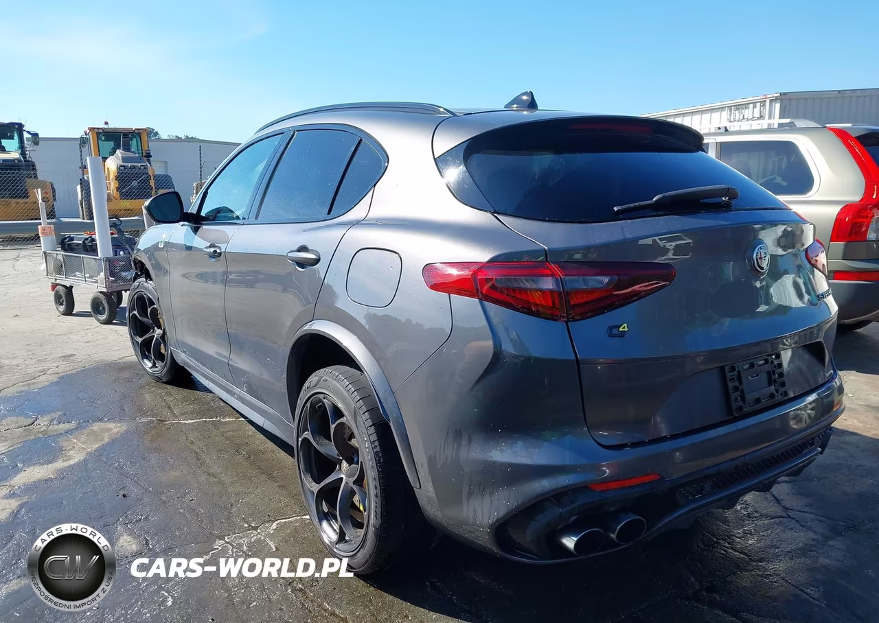 2019 Alfa Romeo Stelvio Quadrifoglio Awd VIN:ZASPAKEV7K7C32043 - 3
