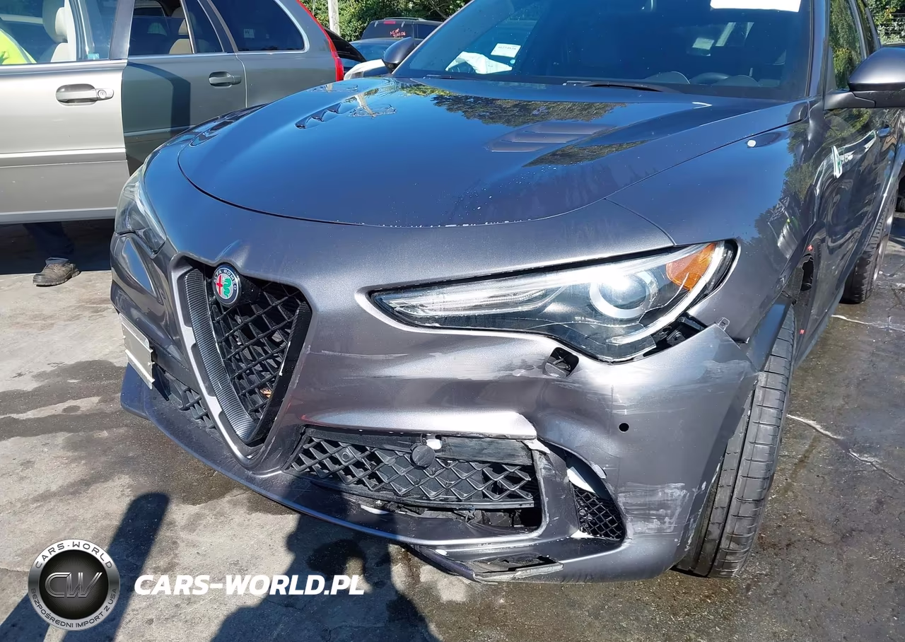 2019 Alfa Romeo Stelvio Quadrifoglio Awd VIN:ZASPAKEV7K7C32043 - 6