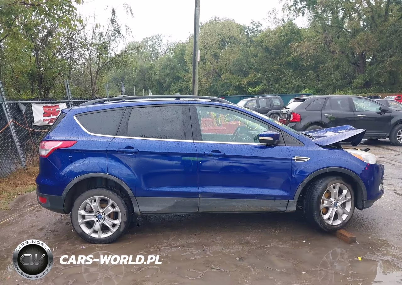 2013 Ford Escape Sel VIN:1FMCU9H96DUA92542 - 14