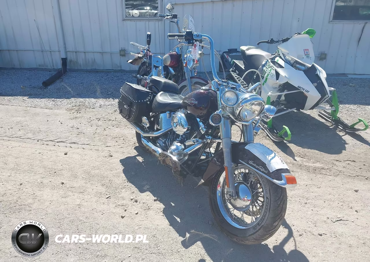 2006 Harley-Davidson Flstci