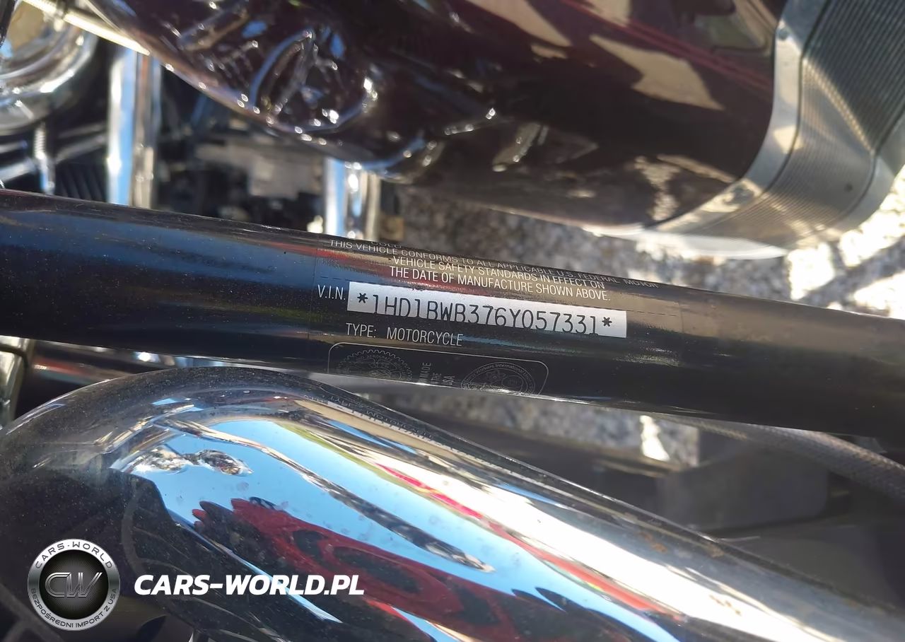 2006 Harley-Davidson Flstci VIN:1HD1BWB376Y057331 - 10