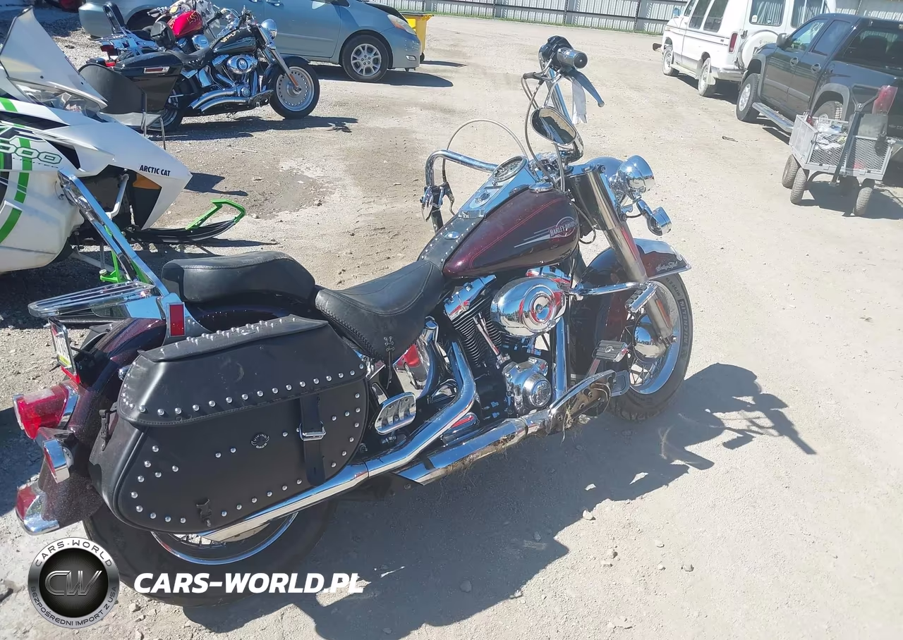 2006 Harley-Davidson Flstci VIN:1HD1BWB376Y057331 - 12
