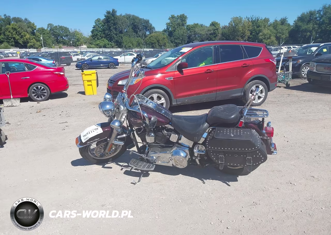 2006 Harley-Davidson Flstci VIN:1HD1BWB376Y057331 - 13